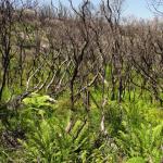 Wilson Promontory Park